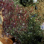 Olivenite